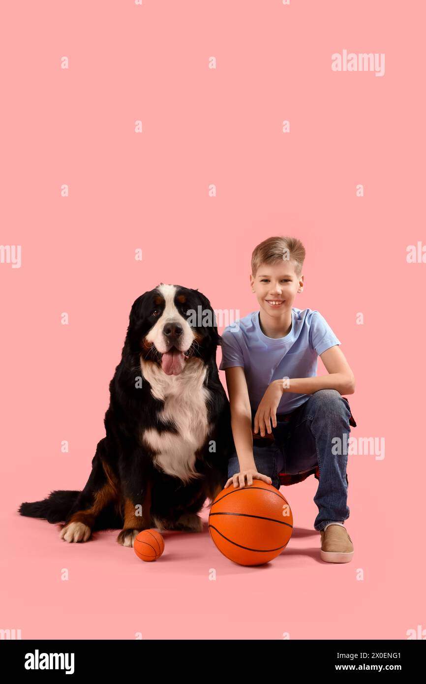 Kleiner Junge mit Berner Berner Berner und Bällen auf rosafarbenem Hintergrund Stockfoto