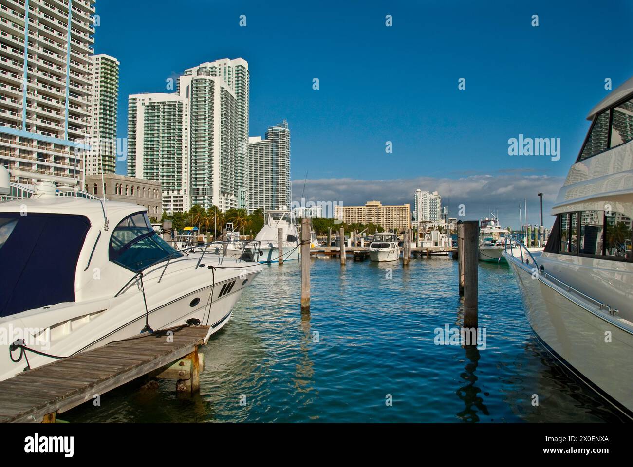 Hochhauswohnungen und Hotels überragen die Biscayne Bay von Sea Isle Marina - Miami, Florida - USA Stockfoto