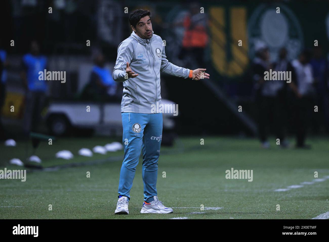 Sao Paulo, Brasilien. April 2024. SP - SAO PAULO - 04/11/2024 - COPA LIBERTADORES 2024, PALMEIRAS (Foto: Ettore Chiereguini/AGIF/SIPA USA) Credit: SIPA USA/Alamy Live News Stockfoto