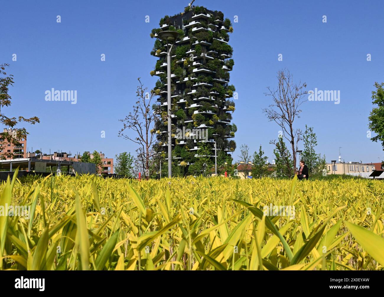 Mailand. April 2024. Dieses Foto vom 11. April 2024 zeigt die Frühlingslandschaft in der Nähe des Bosco Verticale in Mailand, Italien. Quelle: Alberto Lingria/Xinhua/Alamy Live News Stockfoto