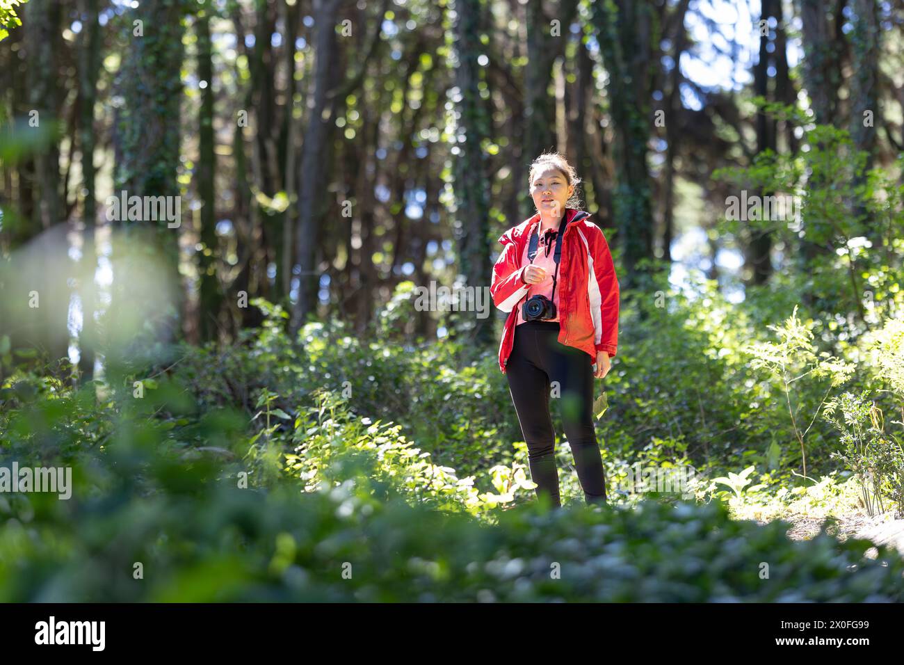 Frau in einer roten Jacke, die durch einen Wald geht Stockfoto