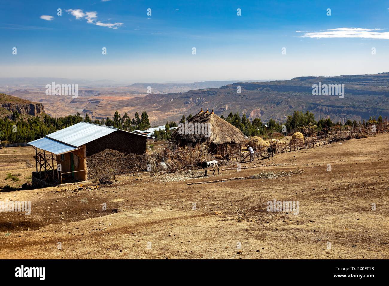 Äthiopischer Bauer in der Hochlandlandschaft repariert einen Viehzaun vor seiner Hütte, Oromia Region, Äthiopien, Stockfoto