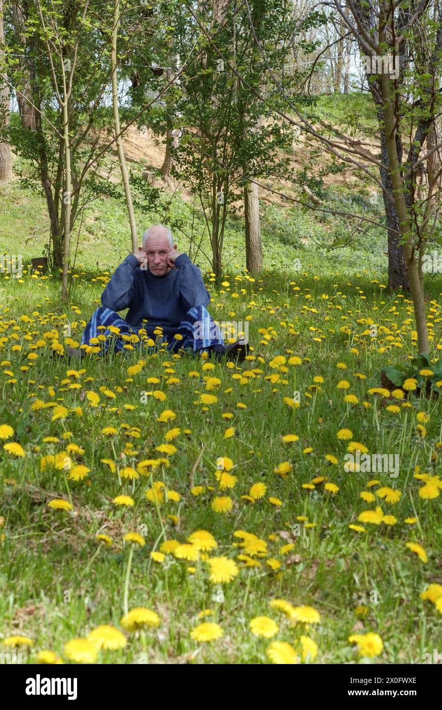 Ein älterer Mann, der schmutzig und niedergeschlagen aussah, saß im Garten, umgeben von Löwenzahn taraxacum, der seinen ländlichen Garten in zala, ungarn, eroberte Stockfoto