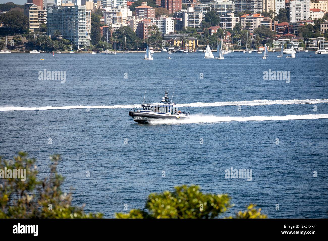 Australische Bundespolizei, australiens Bundespolizei, mit ihrem Hochgeschwindigkeits-RIB-Boot AFP10 im Hafen von Sydney, das von Yamba gebaut wurde Stockfoto