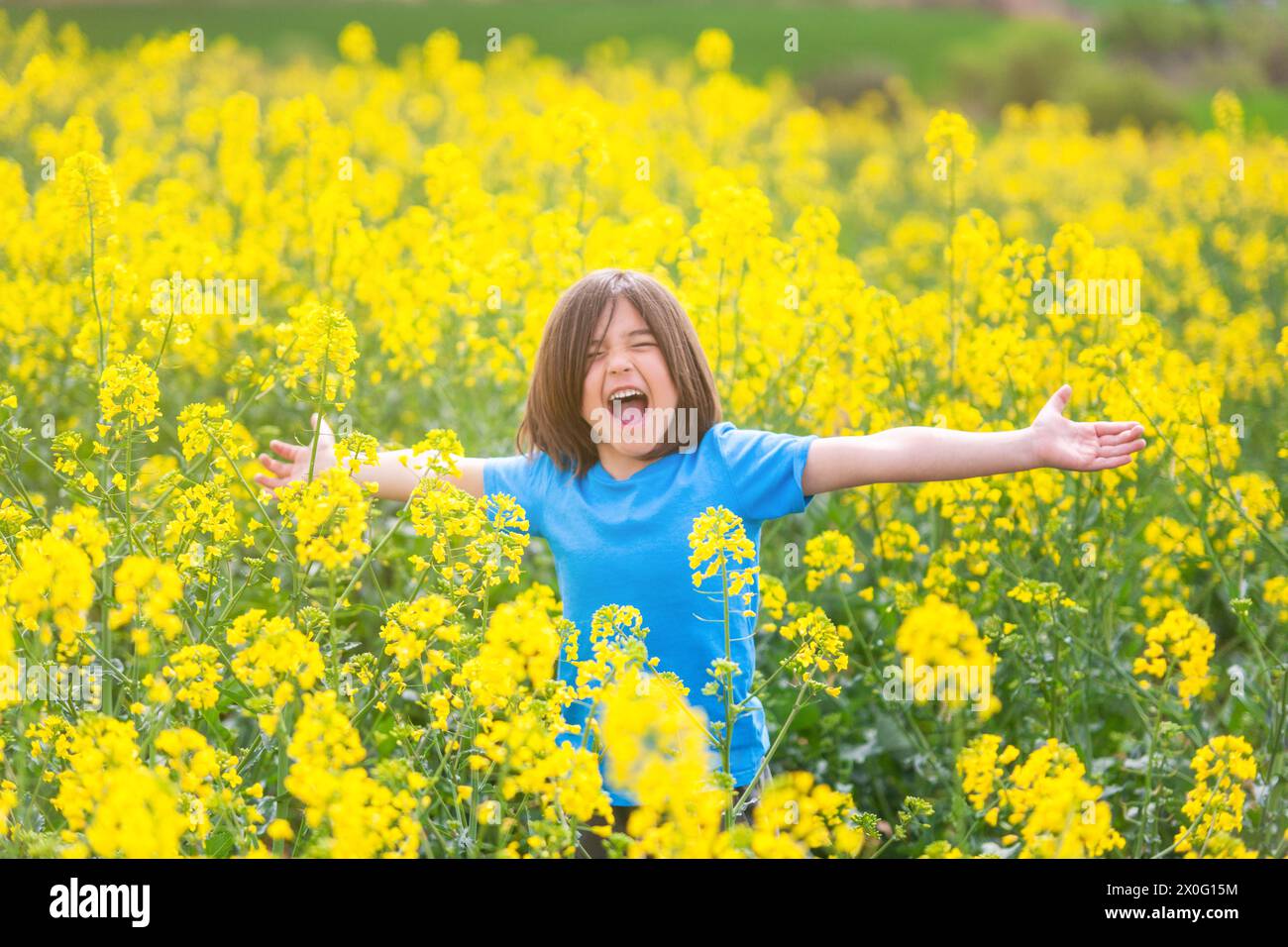 Ein fünfjähriger Junge, der mit offenen Armen auf einer Rapsblütenwiese schreiend während eines Ausflugs im Freien an einem Frühlingstag. Stockfoto