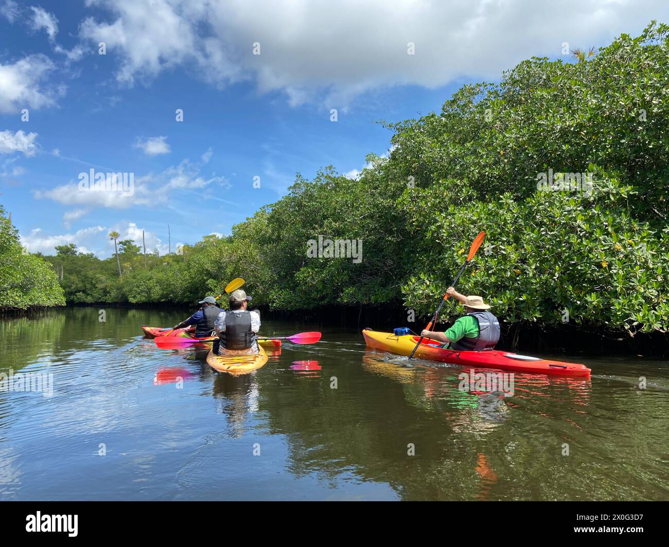 Trio Kajakfahren im Loxahatchee River im Jonathan Dickinson State Park Stockfoto