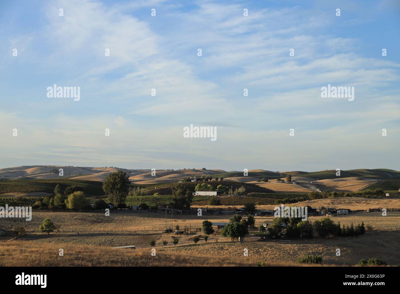 Blick auf Weinberge und sanfte Hügel in Paso Robles Kalifornien Stockfoto