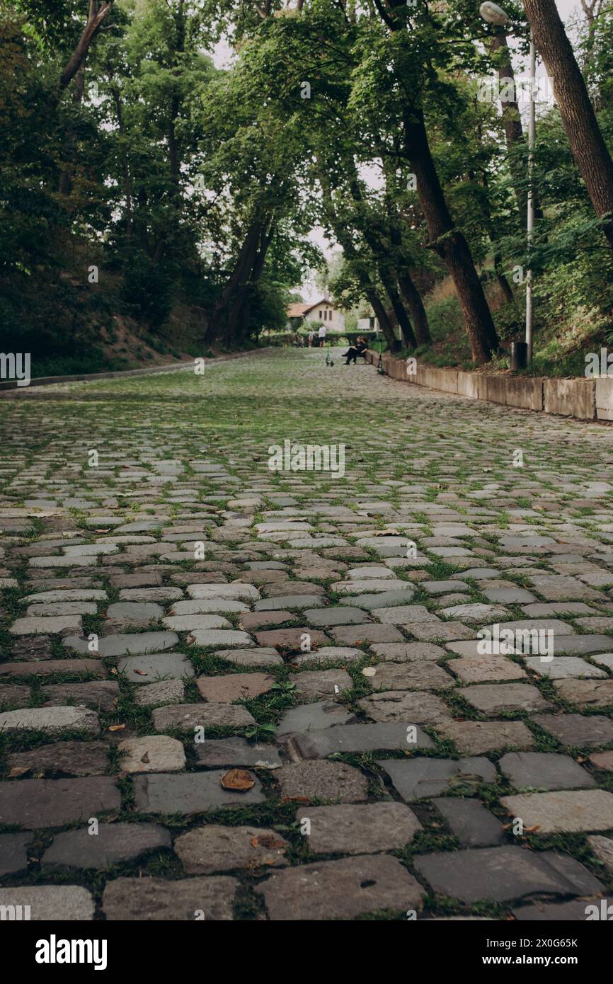 Lviv Altstadt Panorama. Ukraine, Europa. Hochwertige Fotos Stockfoto