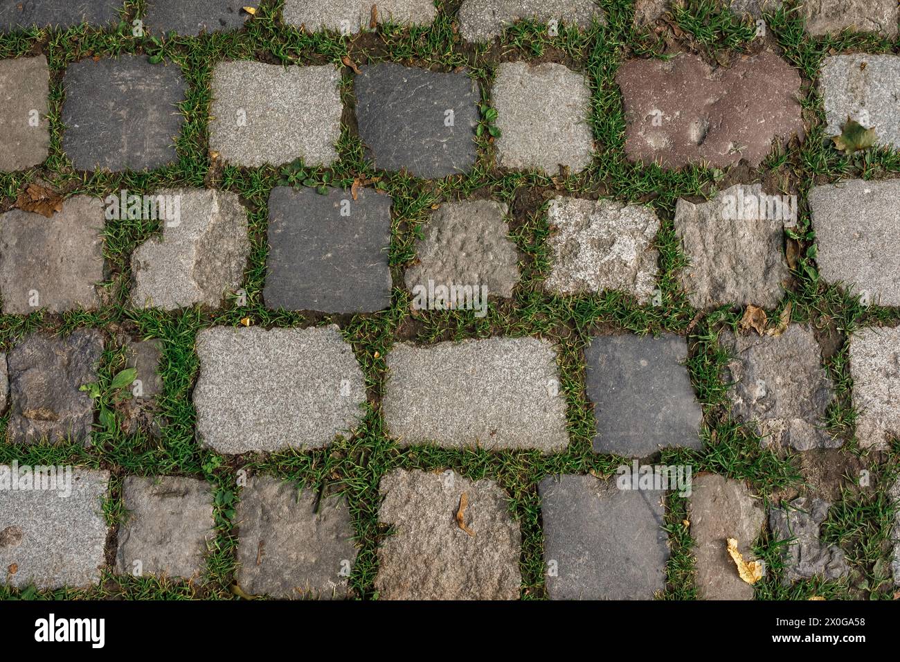 Lviv Altstadt Panorama. Ukraine, Europa. Hochwertige Fotos Stockfoto