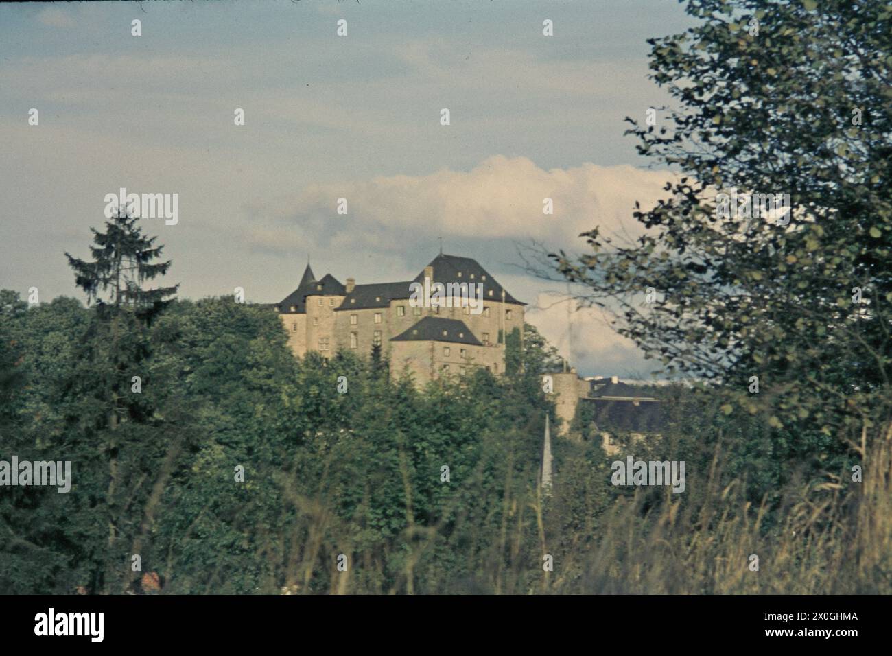 Blick von einem Wald auf die Burg Blankenheim. [Automatisierte Übersetzung] Stockfoto