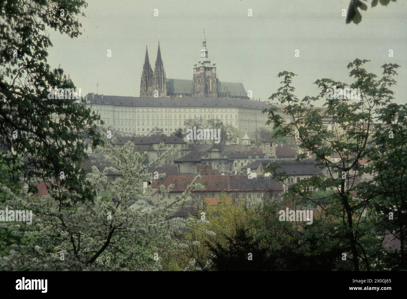Hradschin von der Botschaft der USA, Prag, Tschechien [automatisierte Übersetzung] Stockfoto