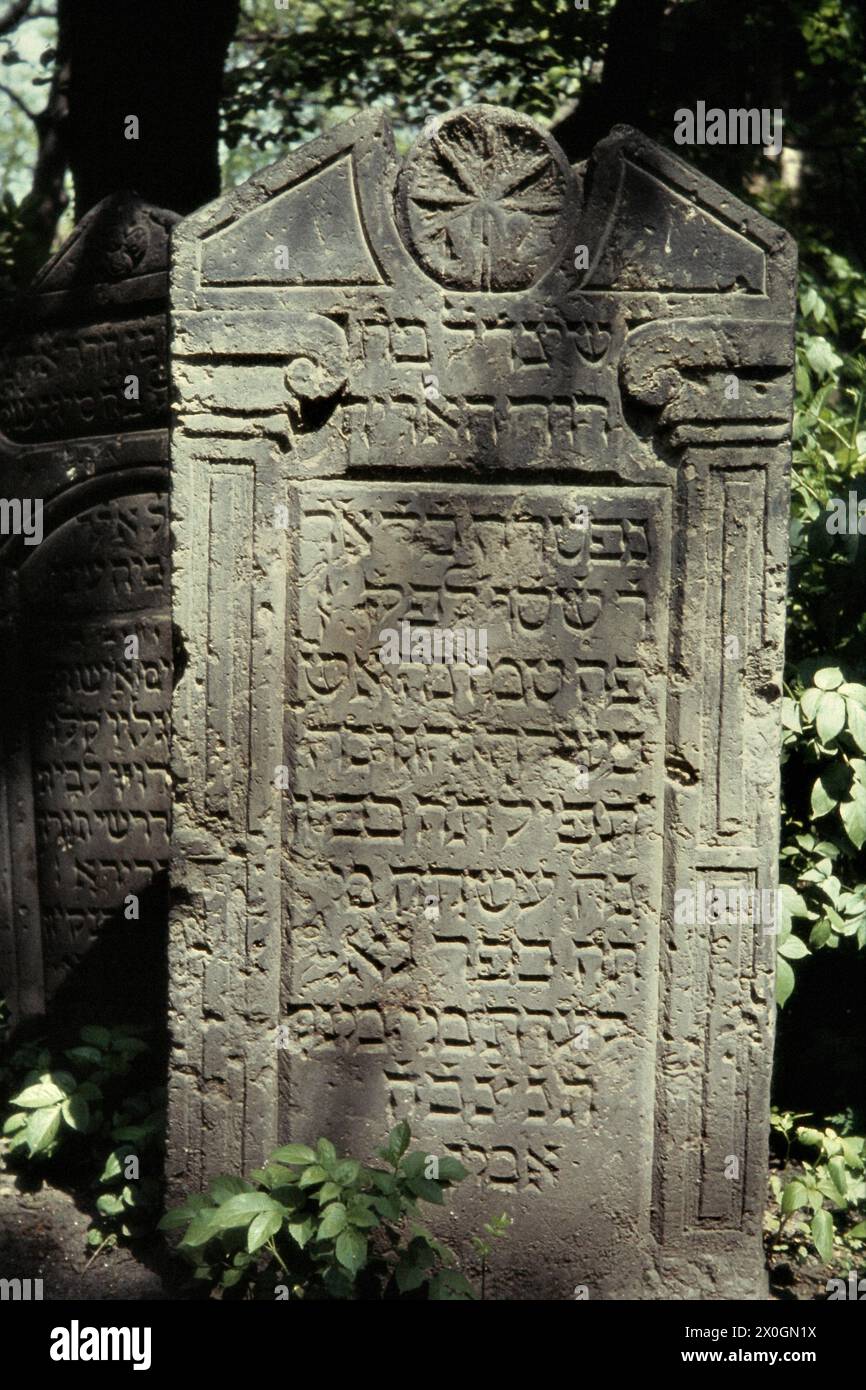 Jüdischer Friedhof, Grabstein, Prag, Tschechien [automatisierte Übersetzung] Stockfoto
