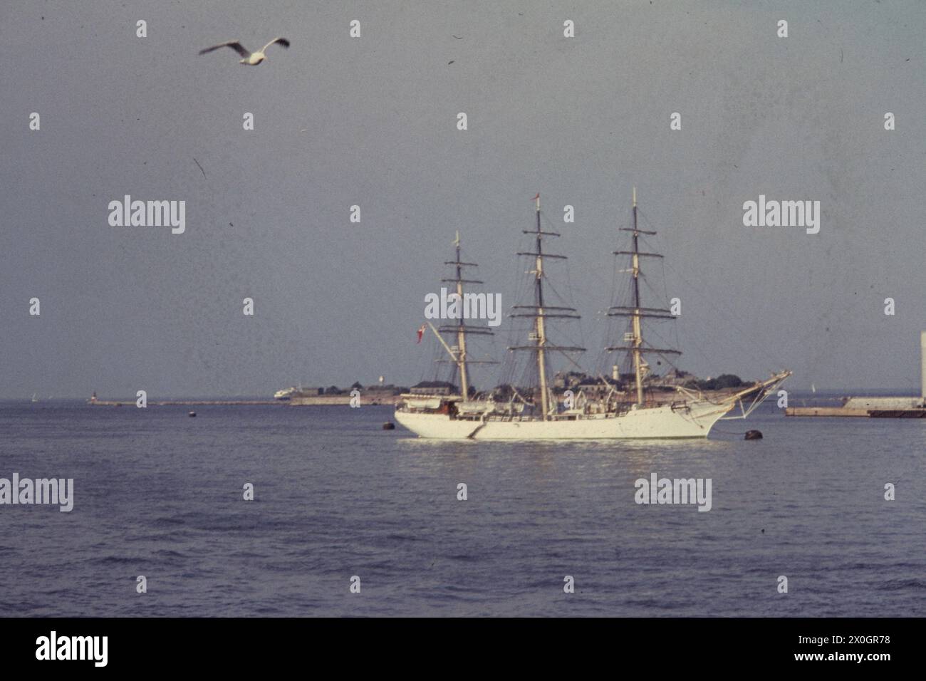 Ein Segelschulschiff betritt den Hafen von Kopenhagen. [Automatisierte Übersetzung] Stockfoto