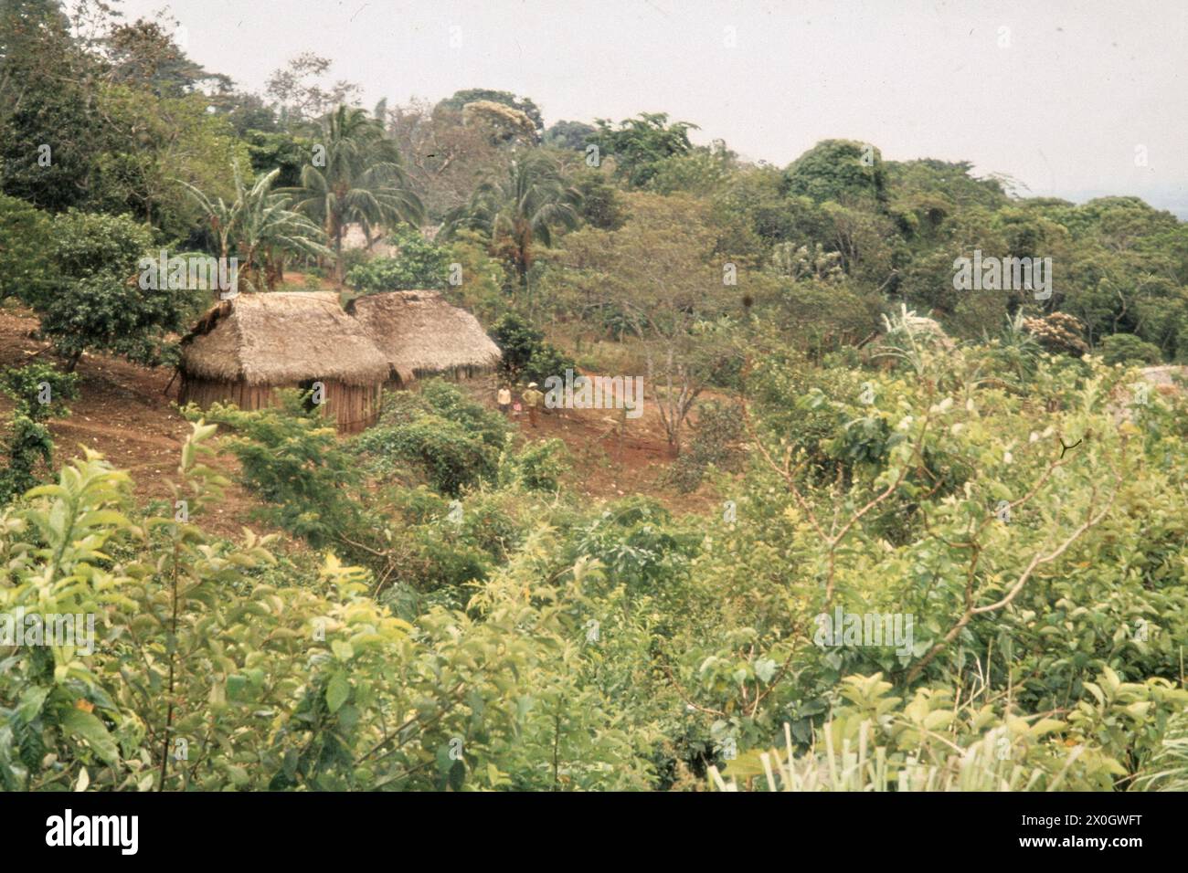 Eine Siedlung der Popoluca-Indianer in der Nähe der Stadt Catemaco. [Automatisierte Übersetzung] Stockfoto