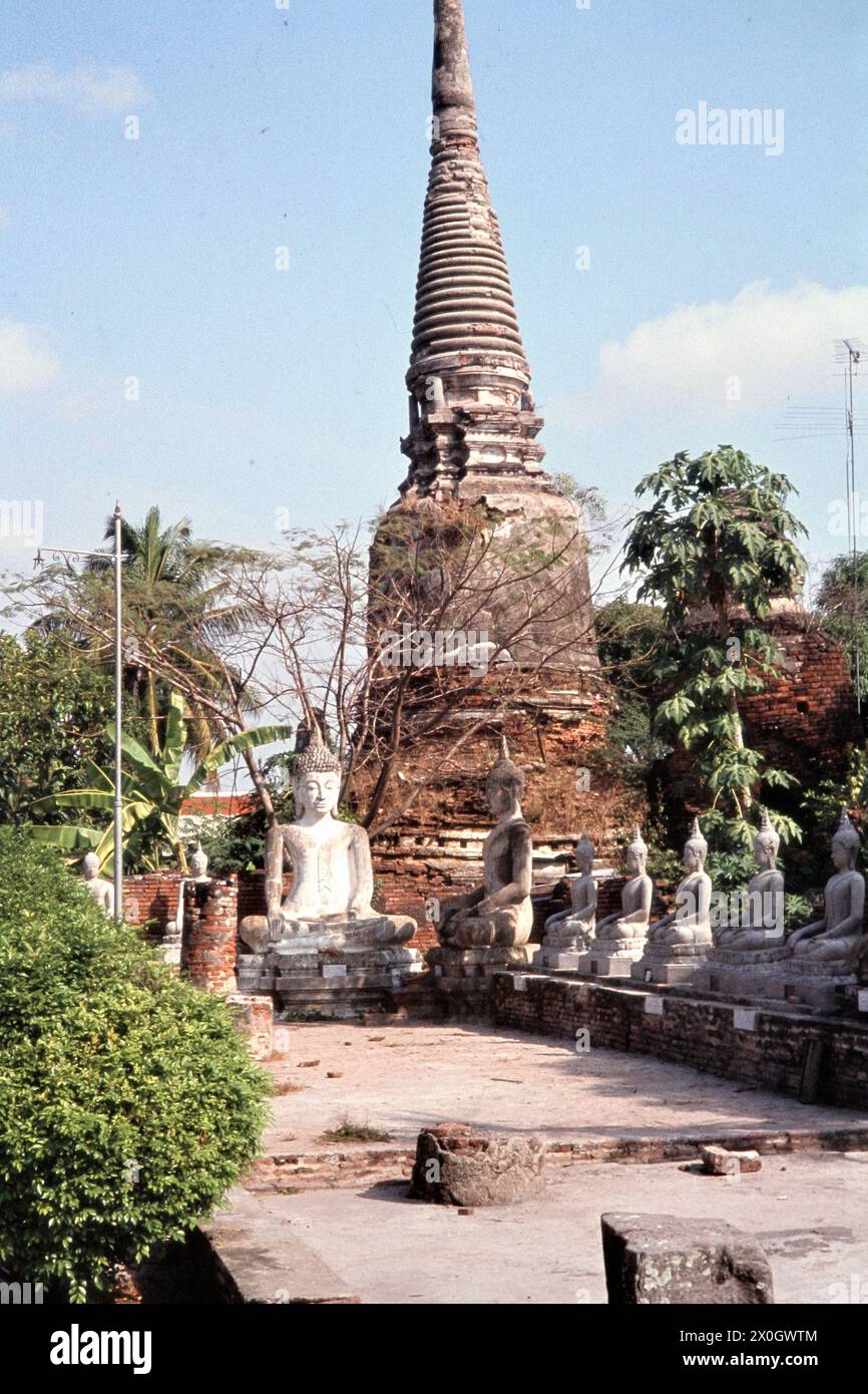 Aufgereiht sitzende Buddhastatuen auf der Nordseite von Nebenchedi in Ayuthya. [Automatisierte Übersetzung] Stockfoto