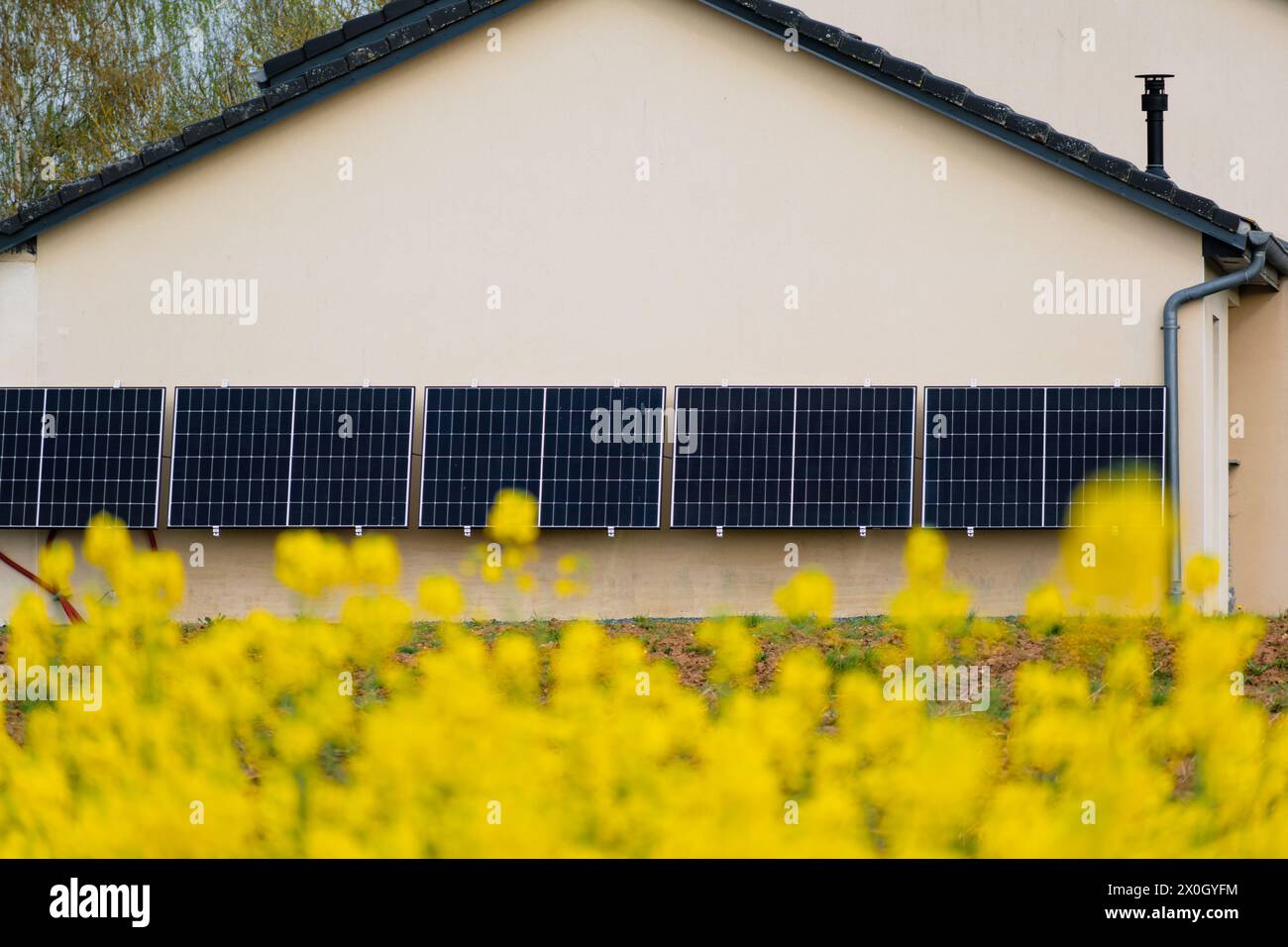 Solarpaneele an einer gut belichteten Wand eines einzelnen Hauses, Einsparungen nach der Energiekrise, Öko-Bürgergeste, grüne Energie Stockfoto