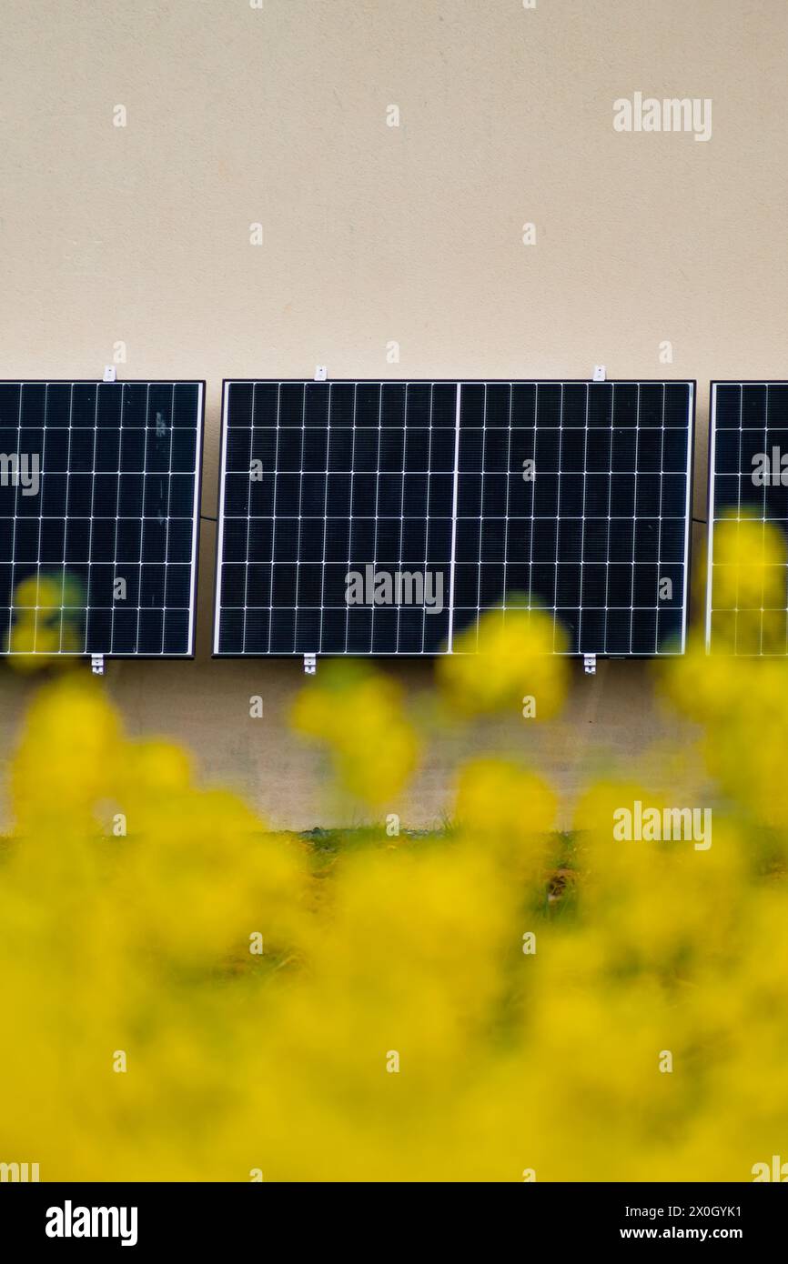 Solarpaneele an einer gut belichteten Wand eines einzelnen Hauses, Einsparungen nach der Energiekrise, Öko-Bürgergeste, grüne Energie Stockfoto