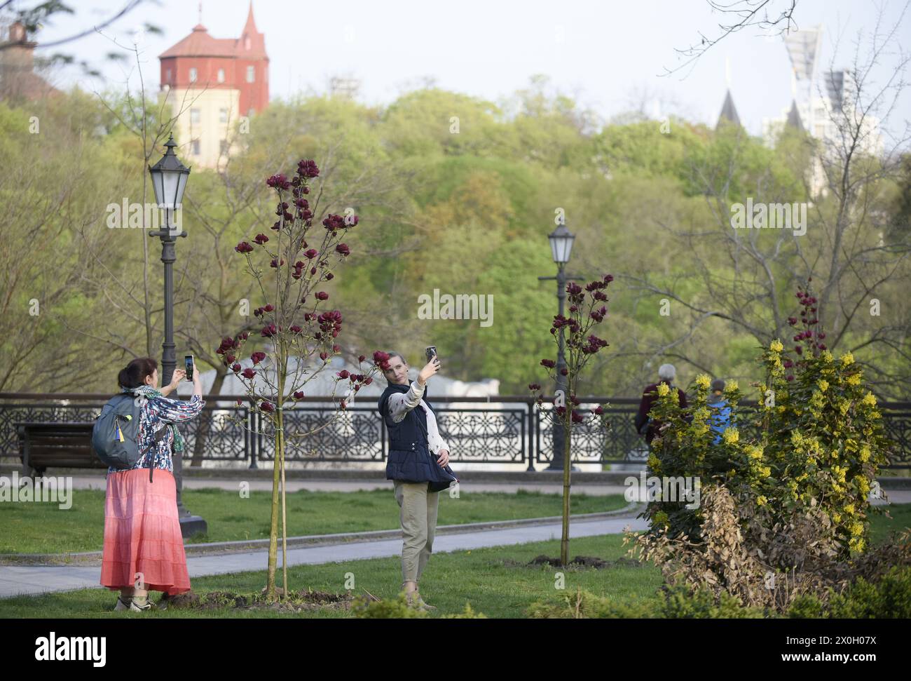 Nicht exklusiv: KIEW, UKRAINE - 11. APRIL 2024 - Frauen machen Fotos von blühenden Bäumen im Wolodymyrska Hill Park, Kiew, Hauptstadt der Ukraine. Stockfoto