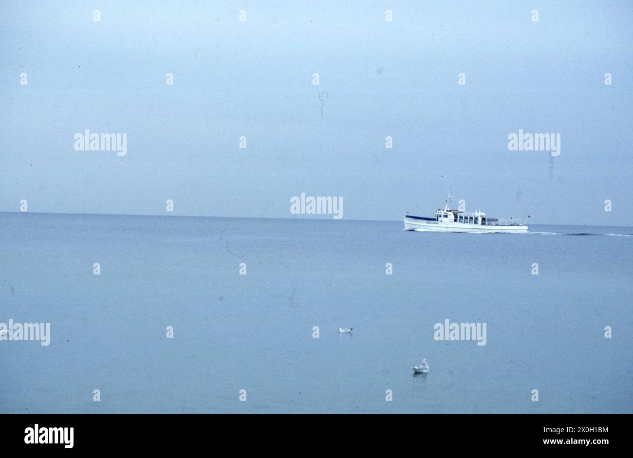 Ein Schiff auf dem Wannsee in Berlin. Stockfoto