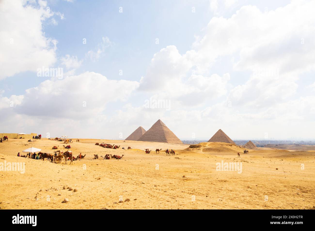 Kamelpark wartet auf Touristen an den Großen Pyramiden von Gizeh, Kairo, Ägypten Stockfoto