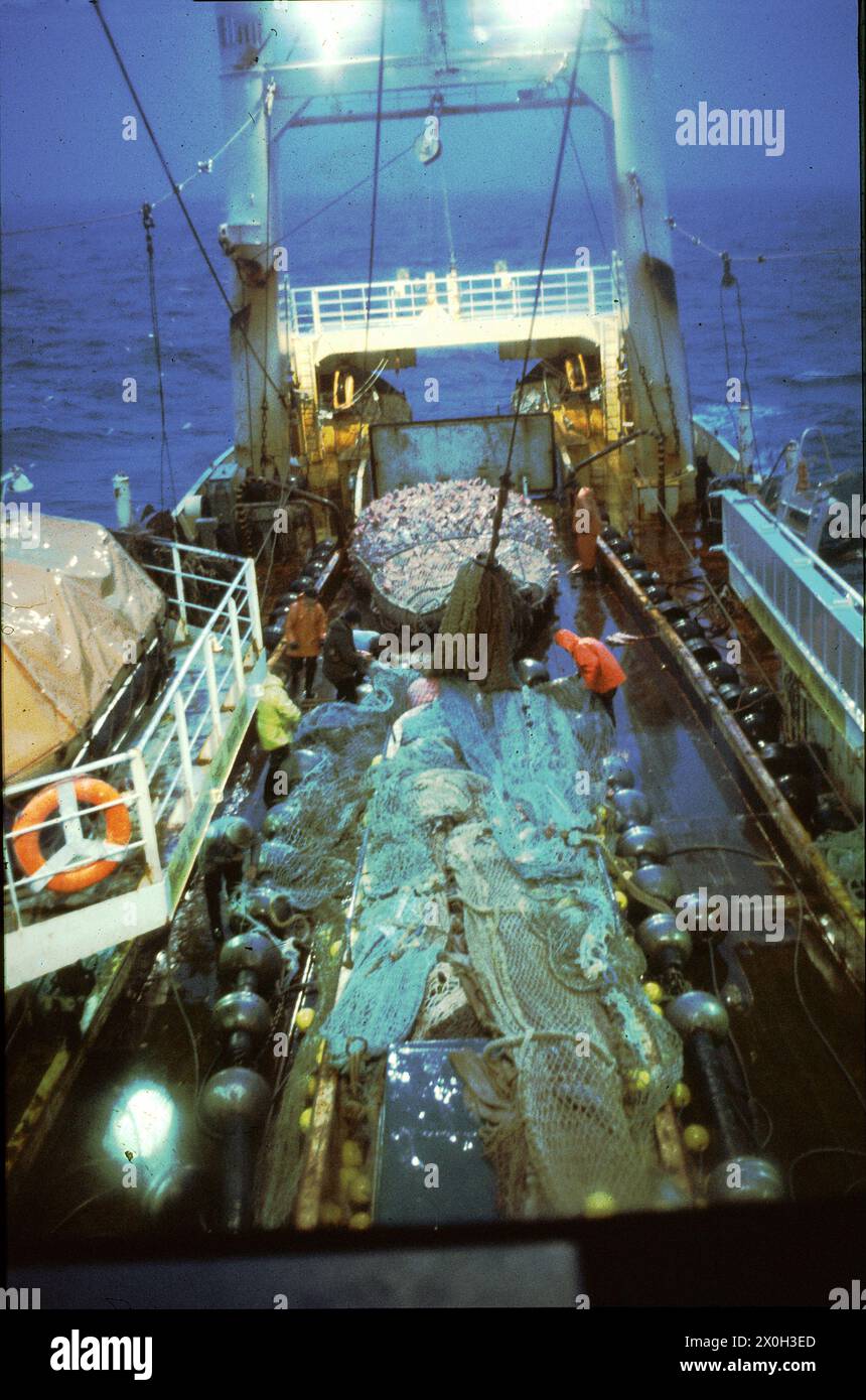 Fischer bei der Arbeit an einem Fischerboot auf dem Atlantik vor Grönland nachts [automatisierte Übersetzung] Stockfoto