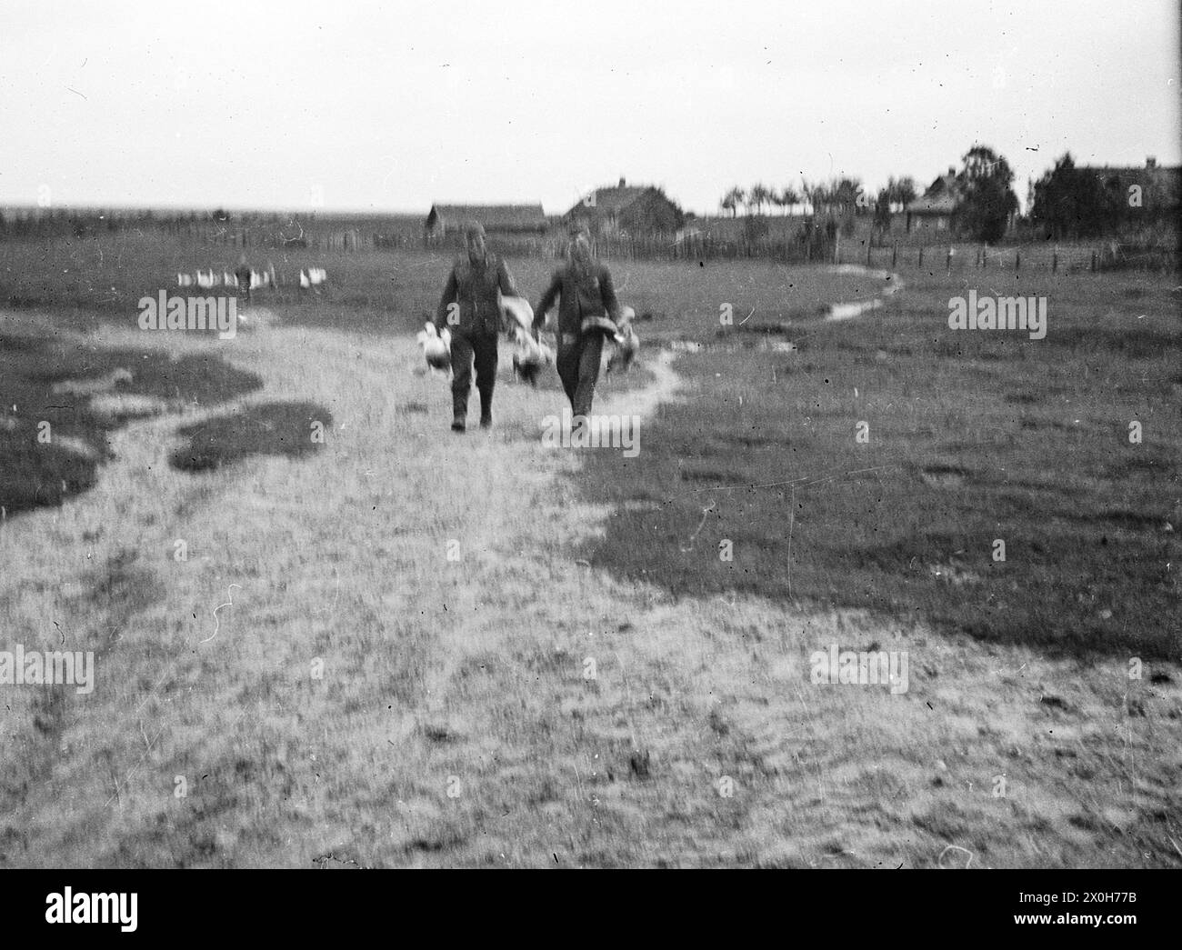 Lachend kommen zwei Soldaten mit Gänsen an die Position der Kompanie an der Ostfront. Im Hintergrund ist der Gänsehirte mit dem Rest der Herde. Das Bild wurde von einem Mitglied des Raffahrgrenadier-Regiments 2 / Rahdfahrsicherungsregiment 2 im Nordteil der Ostfront aufgenommen. [Automatisierte Übersetzung] Stockfoto