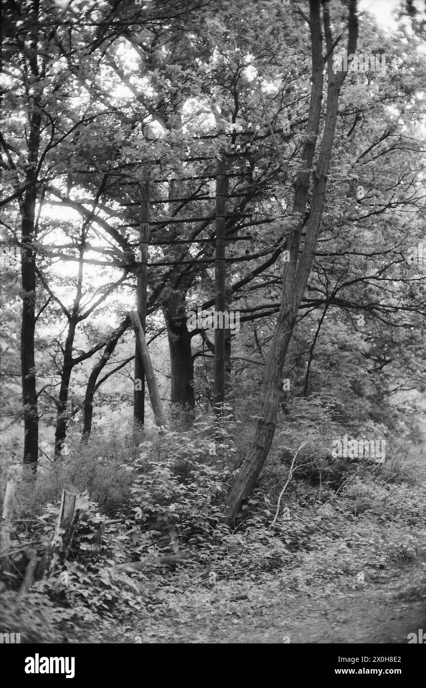 1987 kann man noch nur auf der Strecke der Stammbahn auf der West-Berliner Seite laufen. Die Natur gewinnt sie zurück. [Automatisierte Übersetzung] Stockfoto