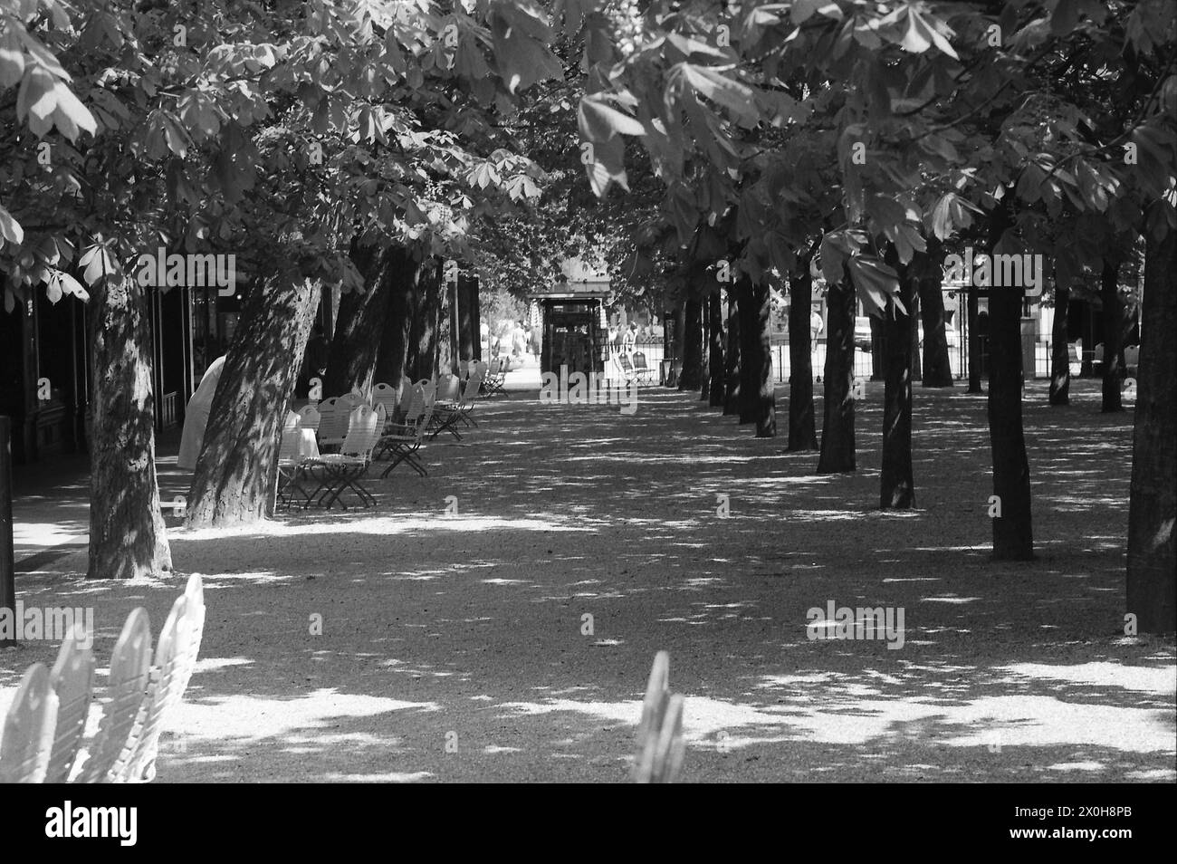 Das Bild wurde während eines Kongressbesuchs in Baden Baden im April 1983 auf dem Weg vom Kongresshaus zum Kurhaus aufgenommen Stockfoto