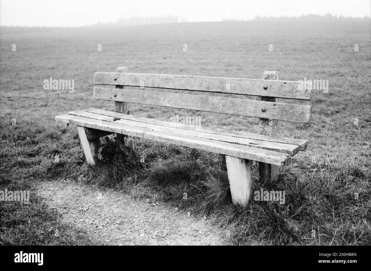 Eine Bank im Raum Starnberg [automatisierte Übersetzung] Stockfoto