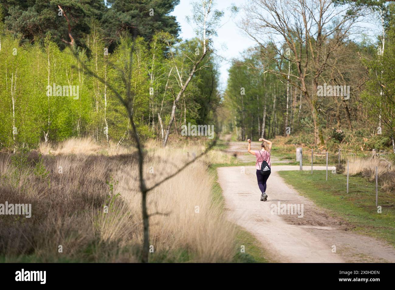 Frau tanzt im Frühling auf einem Wanderweg im Naturschutzgebiet in den Niederlanden Stockfoto