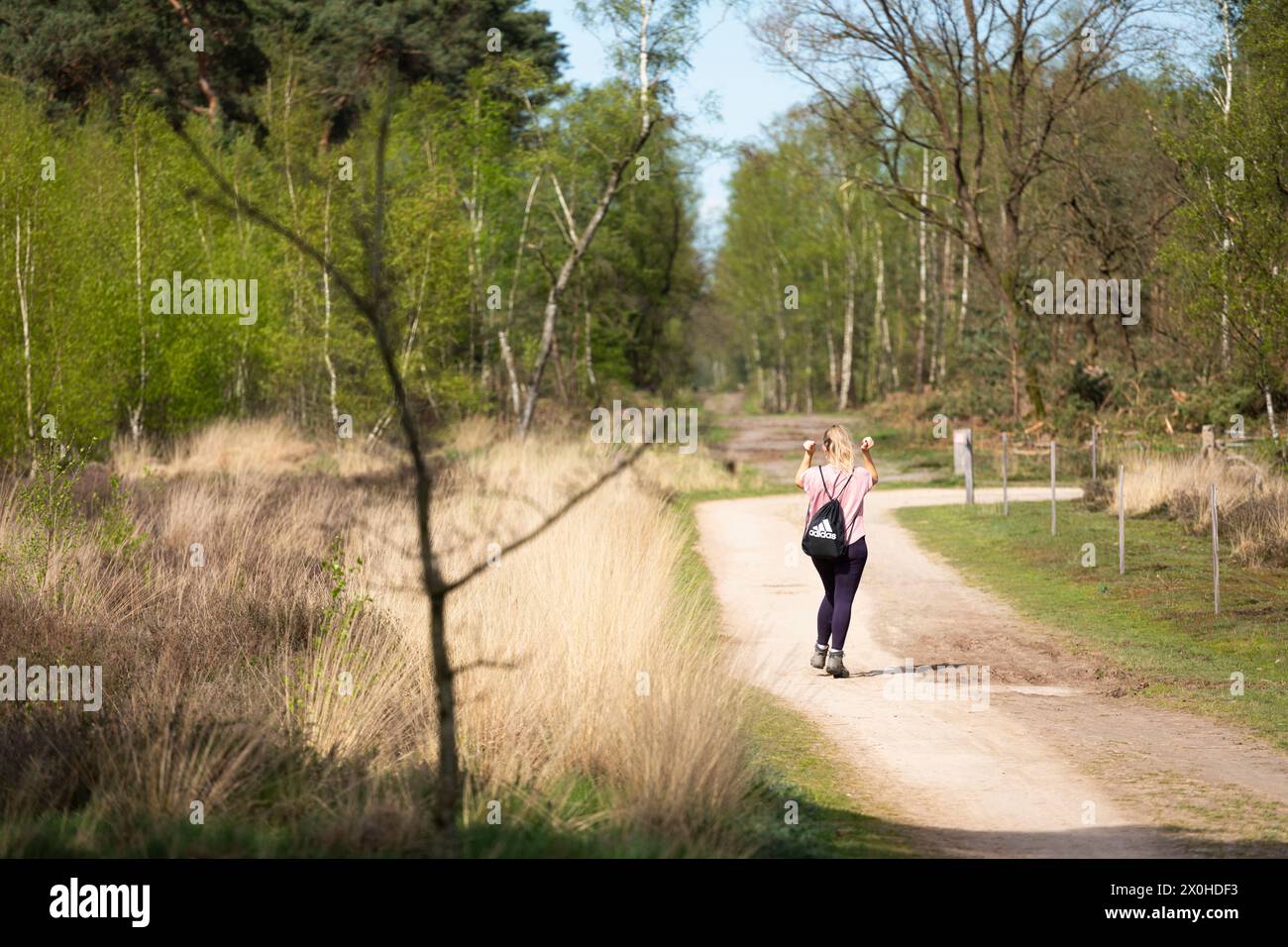 Frau tanzt im Frühling auf einem Wanderweg im Naturschutzgebiet in den Niederlanden Stockfoto
