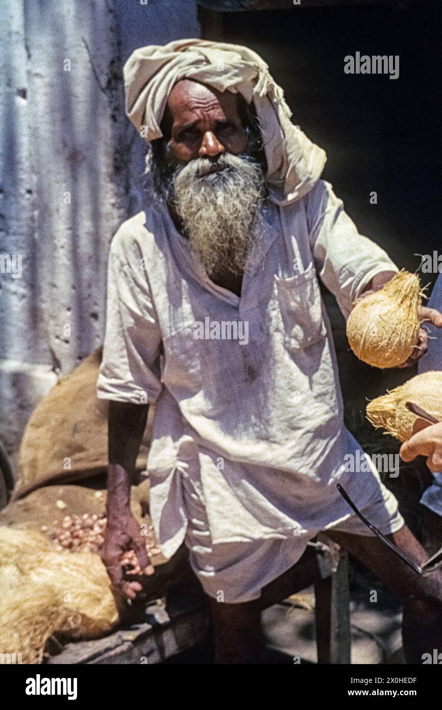 The Coconut Seller [automatisierte Übersetzung] Stockfoto