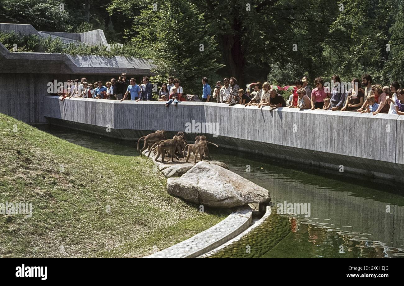 Zoobesucher vor dem Affengehege. [Automatisierte Übersetzung] Stockfoto