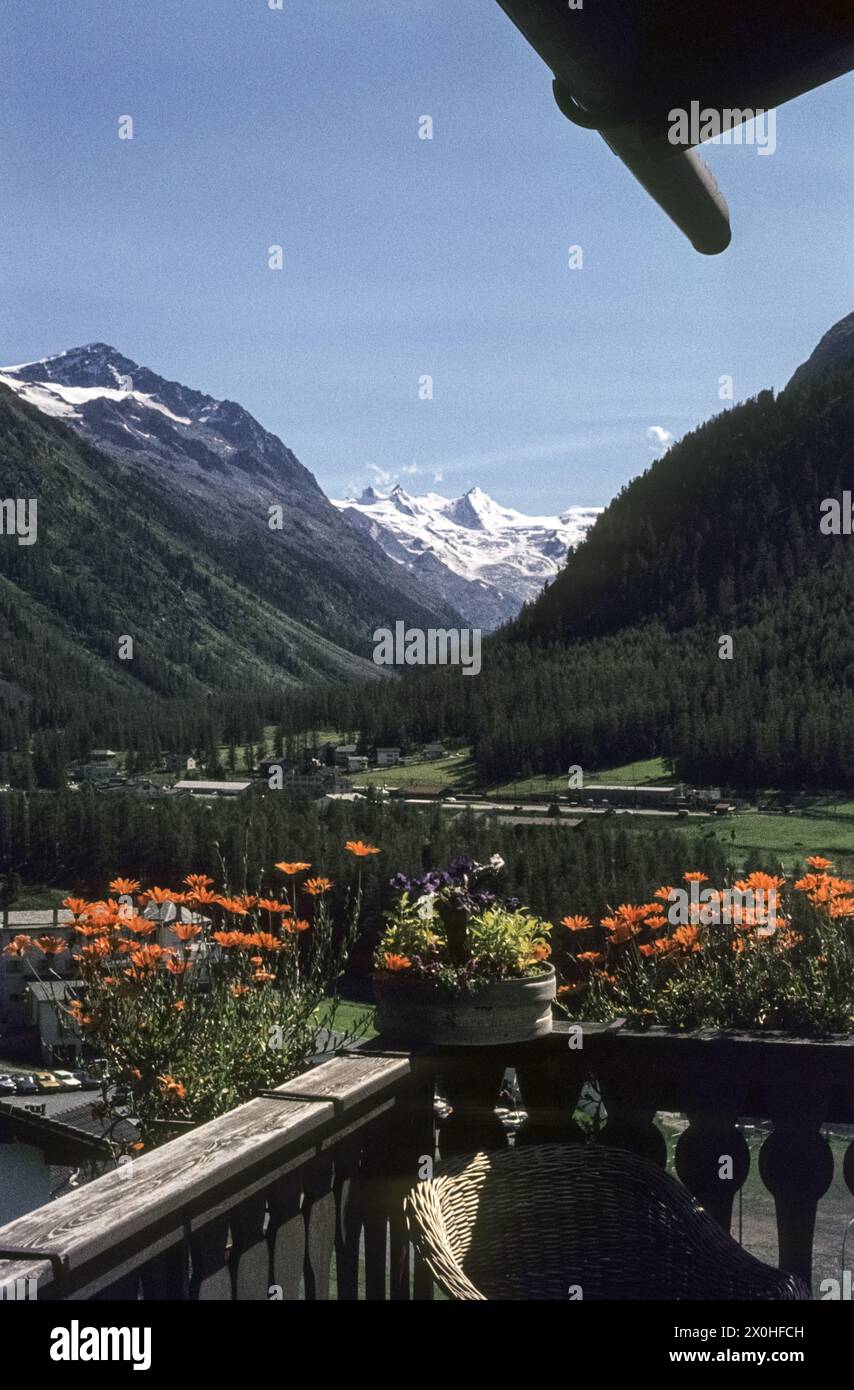 Blick auf das Val Roseg und die Bernina-Gruppe von einem blumengeschmückten Balkon in Pontresina [automatisierte Übersetzung] Stockfoto