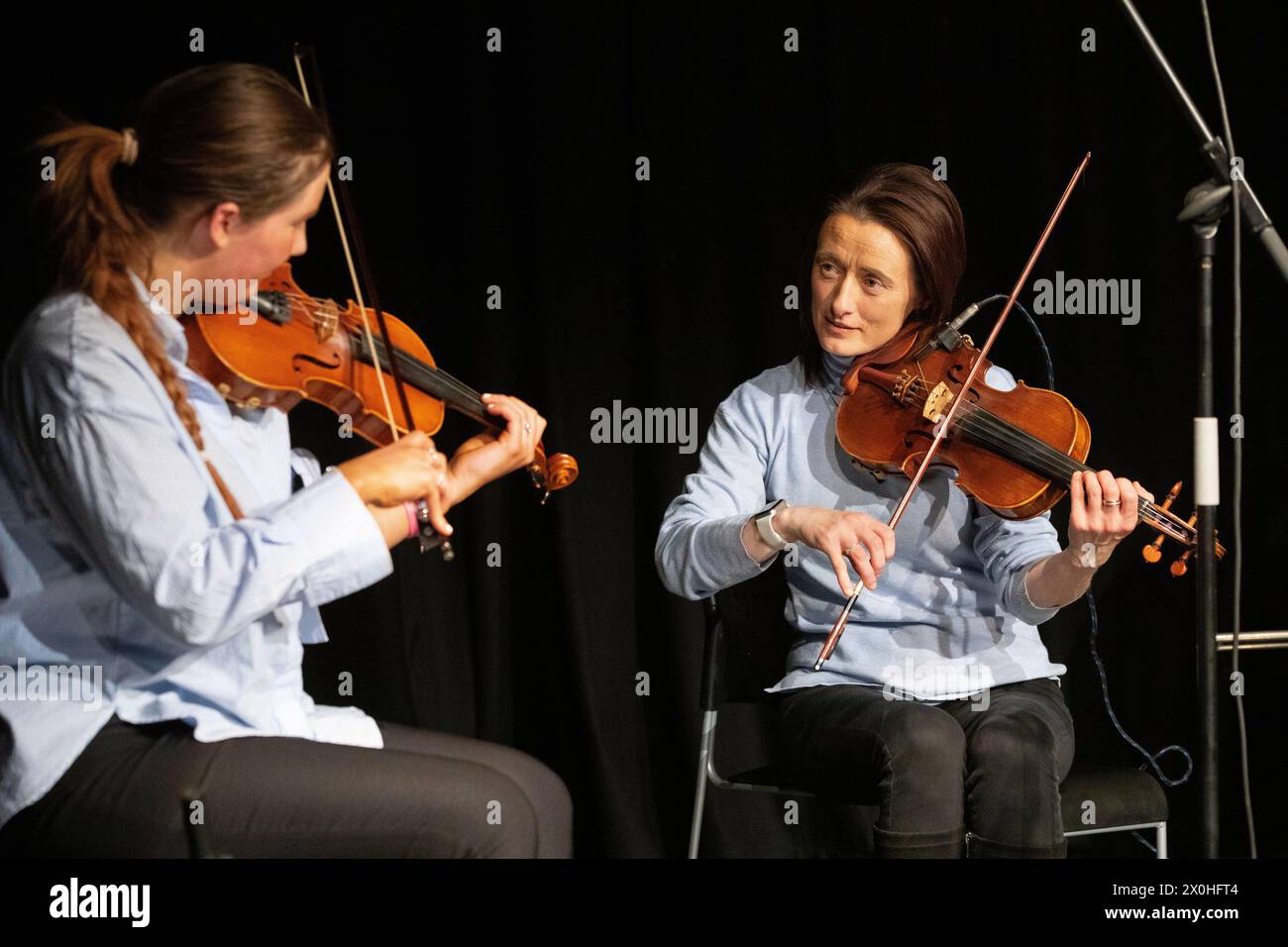 Violinen Stockfoto