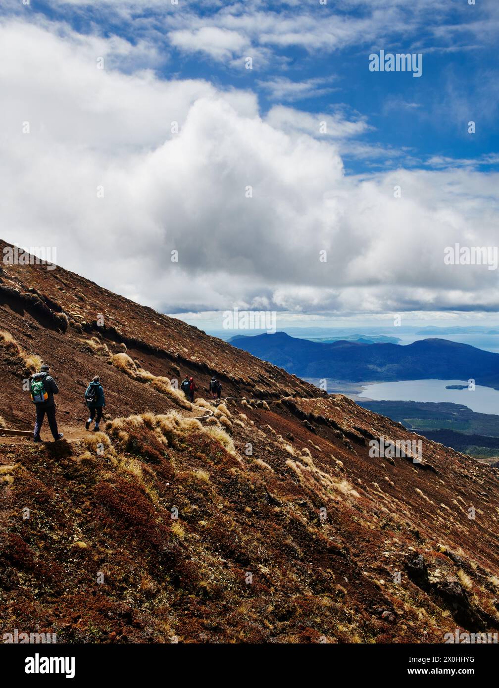 Wanderer entlang des Tongariro Alpine Crossing Trail, Tongariro National Park, Nordinsel, Neuseeland Stockfoto