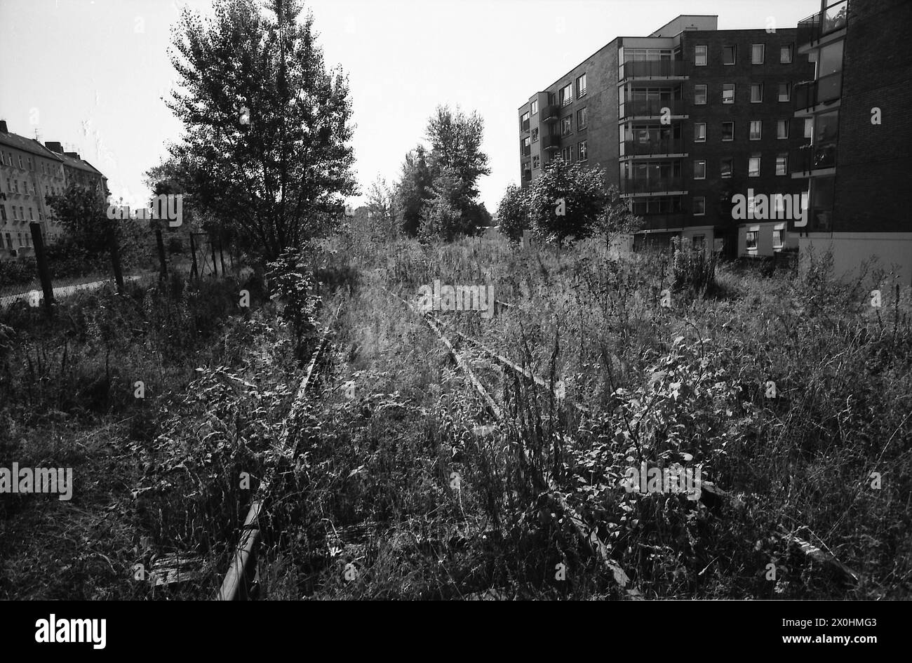 Die verwachsenen Gleise gehören wohl zum ehemaligen Bahnhof Görlitz. Stockfoto