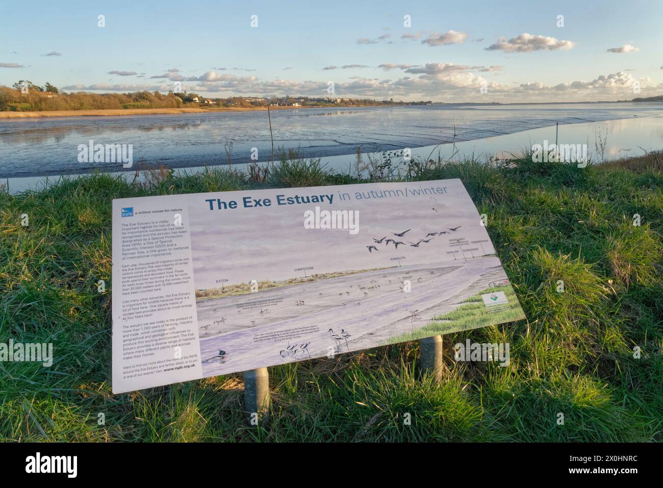 Informationstafel und Ausblick von der Aussichtsplattform im RSPB Bowling Green Marsh Reserve mit Blick auf die exe Mündung und den River Clyst Mouth, Topsham, Devon Stockfoto