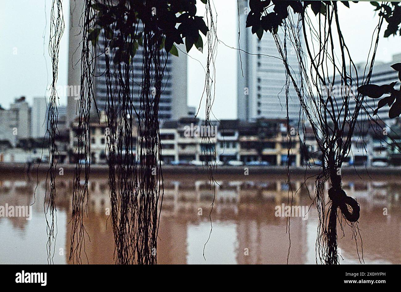 Blick auf eine Strandpromenade in Singapur. Im Vordergrund rotbraunes Wasser. An der Bank eine Straße. Dahinter alte Häuser mit heruntergekommenen Fassaden und Dächern. Im Hintergrund neue Bürohochhäuser. Der Blick ist durch einen Baum und hängende Trillen etwas versperrt. [Automatisierte Übersetzung] Stockfoto