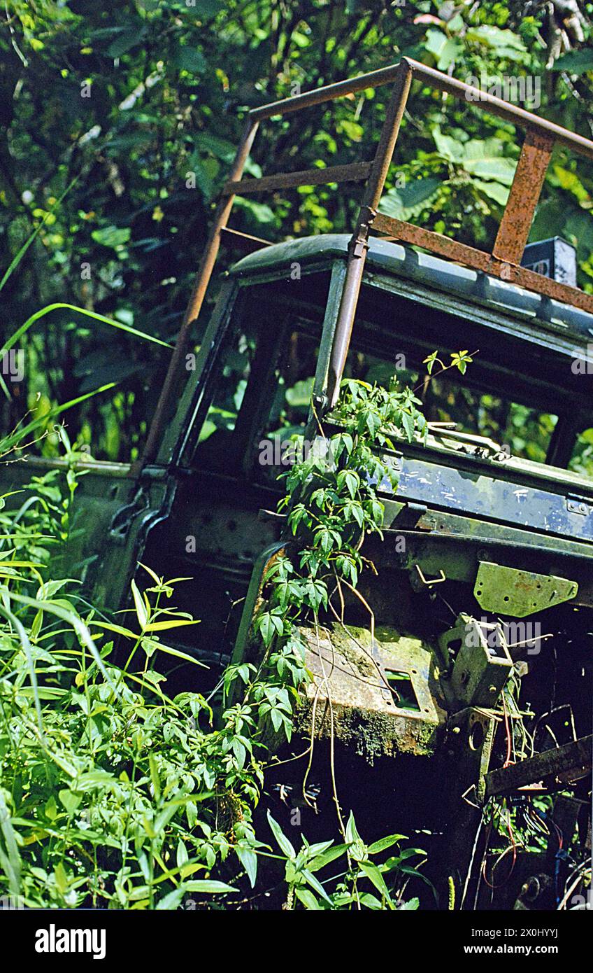 Ein alter Lastwagen liegt im Regenwald von Cameron Hihlands in Malaysia. Sie ist von Pflanzen überwuchert. [Automatisierte Übersetzung] Stockfoto