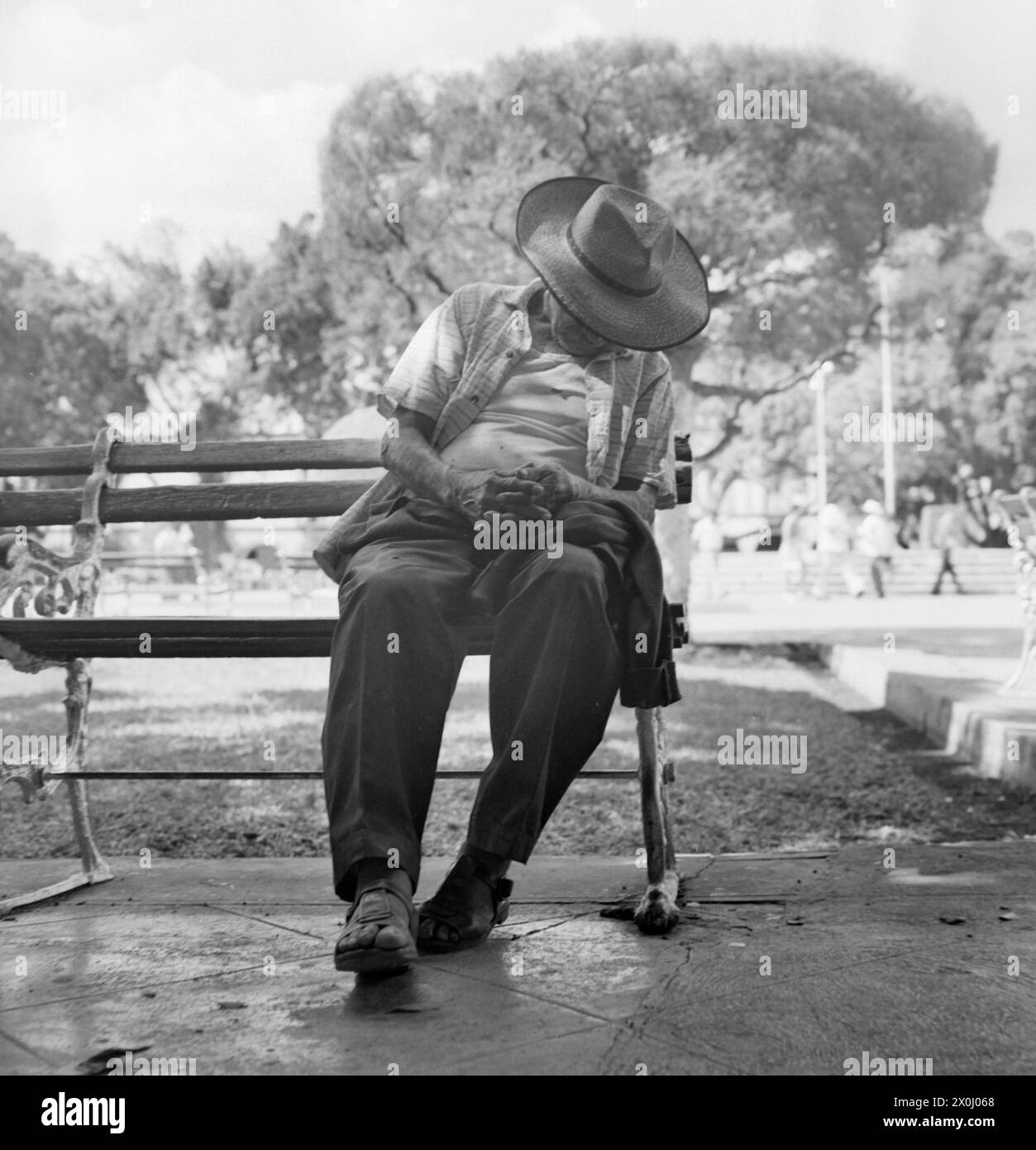 Ein Mann sitzt im Schatten eines Baumes auf einer Parkbank in der Stadt Merida in Mexiko. Der Mann trägt einen Sombrero und lässt ihn tief ins Gesicht ziehen. [Automatisierte Übersetzung] Stockfoto