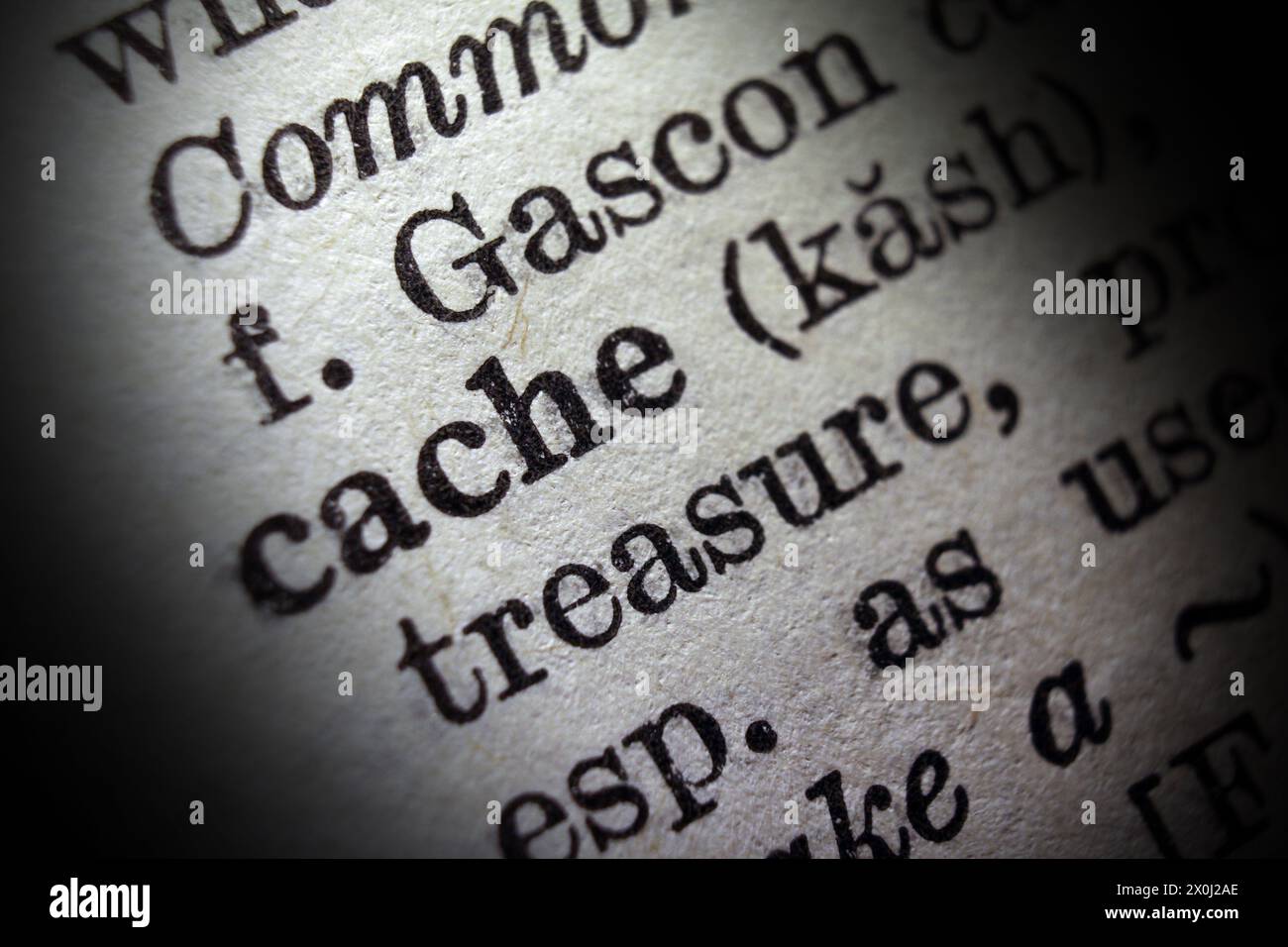 Word-Cache auf Wörterbuchseite, Makronaht Stockfoto