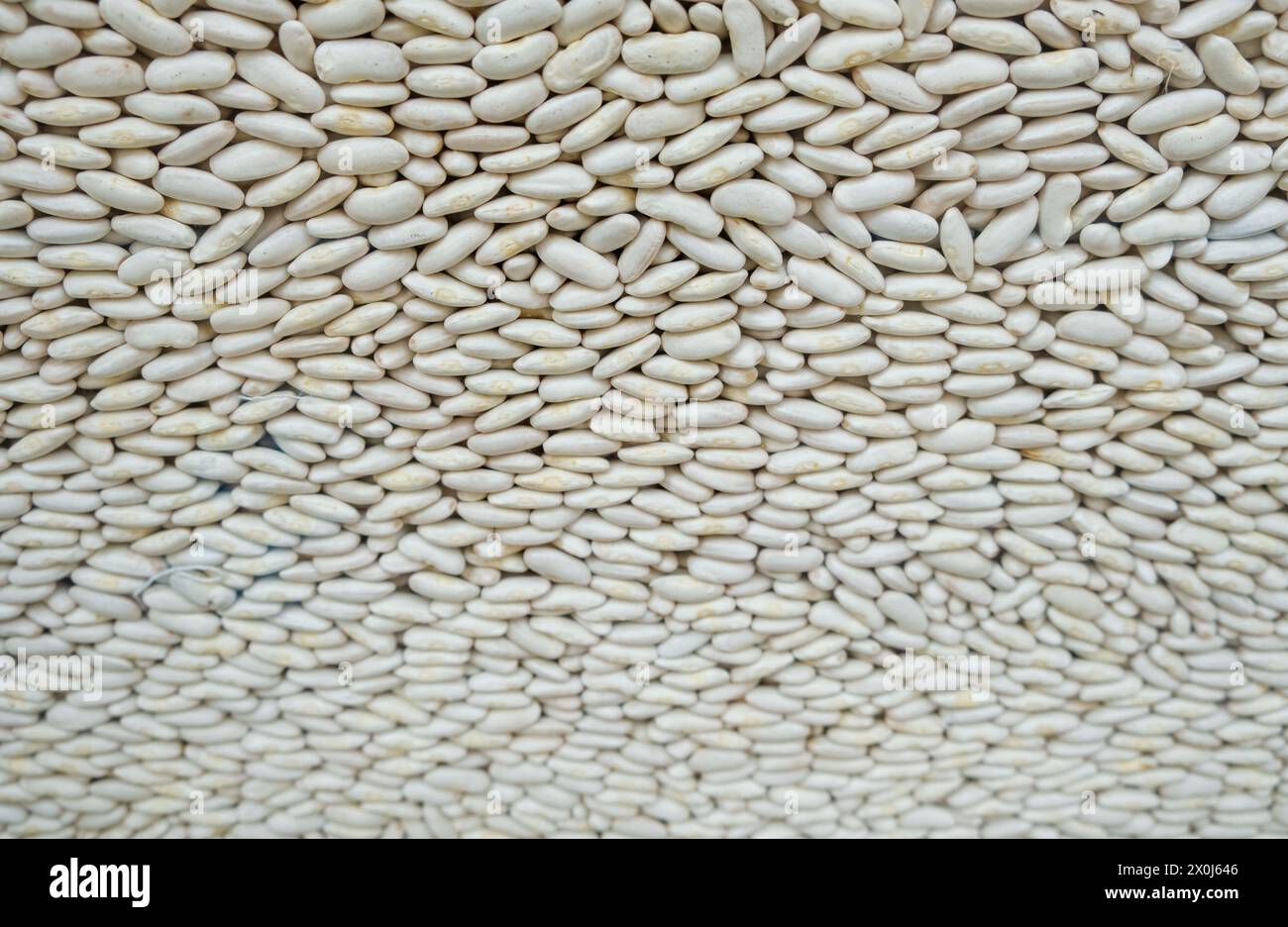 Diese Nahaufnahme zeigt ein paar getrocknete asturische Bohnen, die ihre verschiedenen Formen, Größen und Farben hervorheben. Die Bohnen sind dicht gepackt Stockfoto