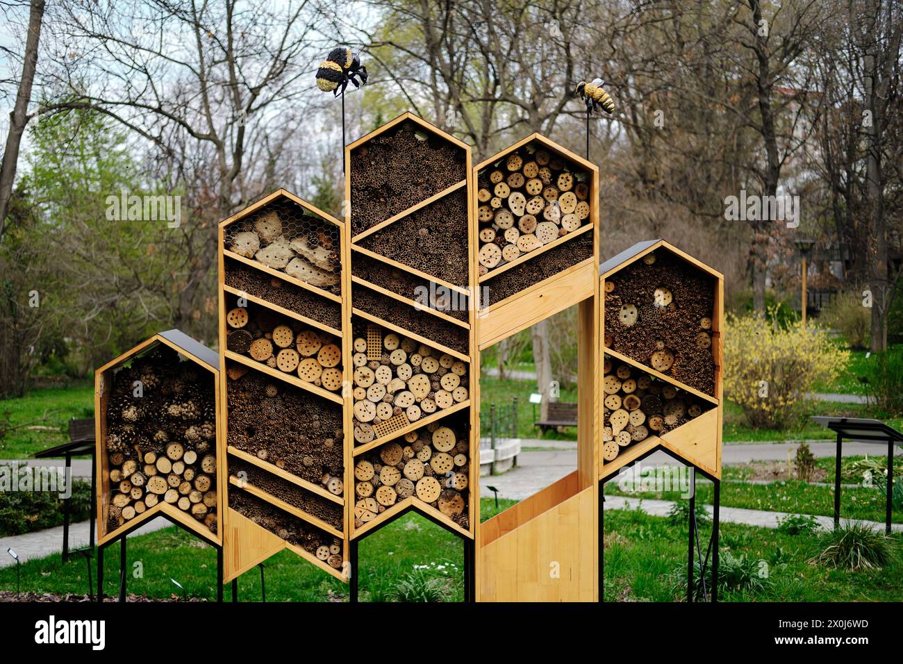 Das handgefertigte Hotel mit Holzbienen befindet sich im botanischen Garten im Zentrum von Belgrad, der Hauptstadt Serbiens. Löcher für Insekten zwischen Kegeln und W Stockfoto