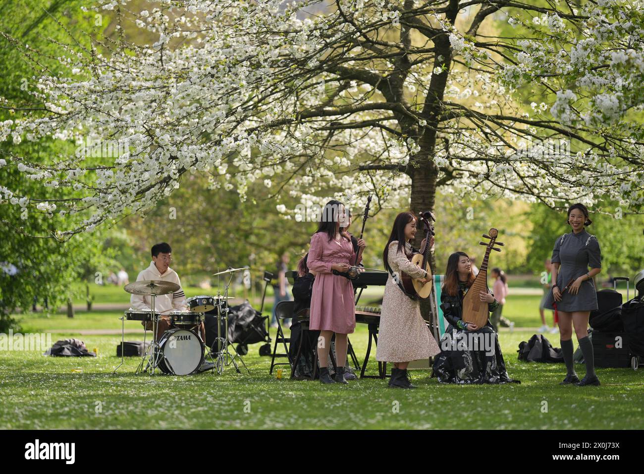 Chinesische Studenten, die an der UCL in London studieren und eine Band mit traditioneller chinesischer Musik gegründet haben, filmen sich selbst im St James's Park, London. Bilddatum: Freitag, 12. April 2024. Stockfoto