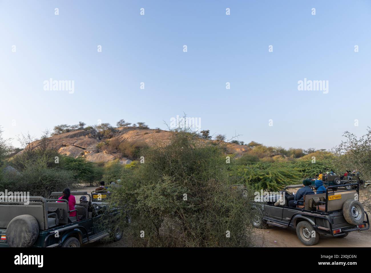 Touristen warten auf die Sichtung von Leoparden in Jawai (Rajasthan, Indien) Stockfoto