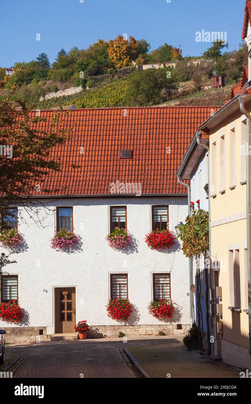 Altstadt, Freyburg an der Unstrut, Burgenlandkreis, Sachsen-Anhalt, Deutschland, Europa Stockfoto