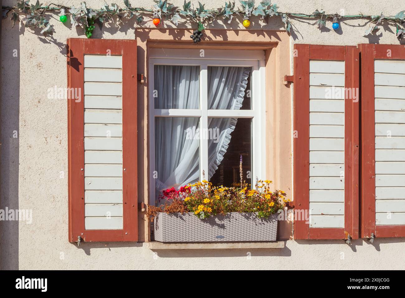 Fenster, Altdeutsche Weinstube zum Künstlerkeller, Altstadt, Freyburg an der Unstrut, Burgenlandkreis, Sachsen-Anhalt, Deutschland, Europa Stockfoto