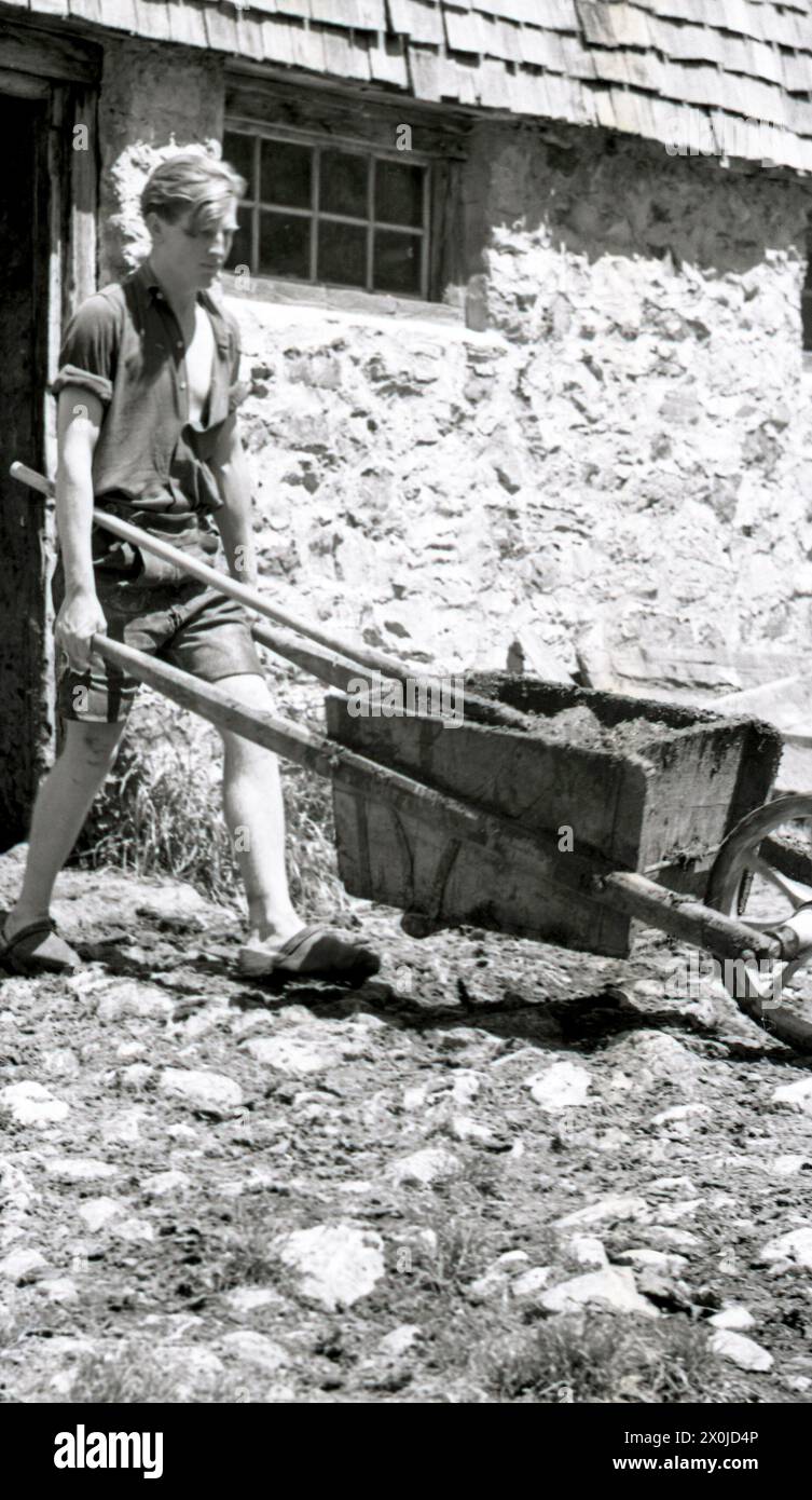 Junger Mann schiebt Schubkarre mit Kuhmist aus der Scheune. Den Kuhstall in der Alpe Plättele ausmusten Stockfoto