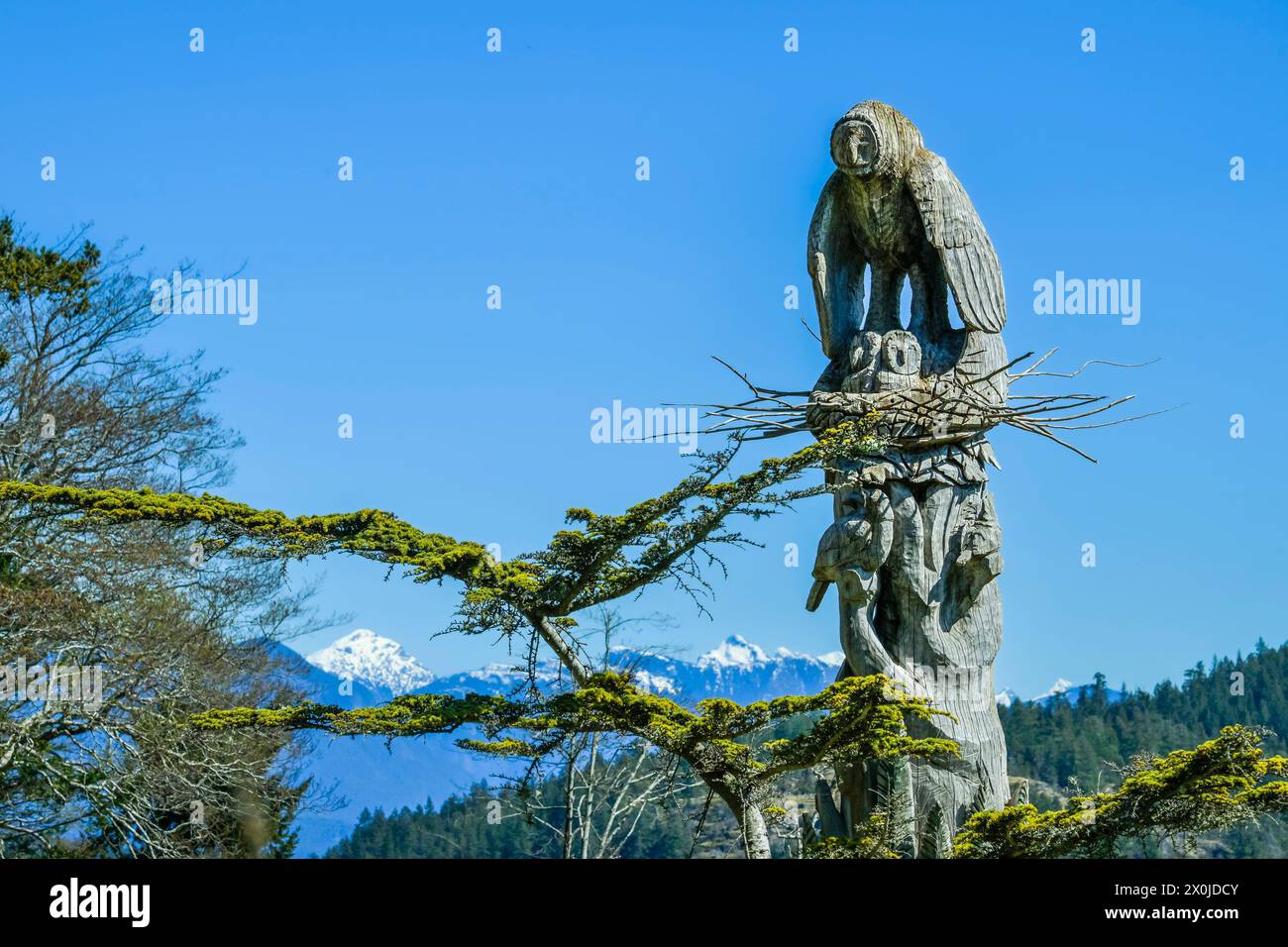 Eulen-Nestschnitzerei, Hollyhock Retreat, Cortes Island, British Columbia, Kanada Stockfoto